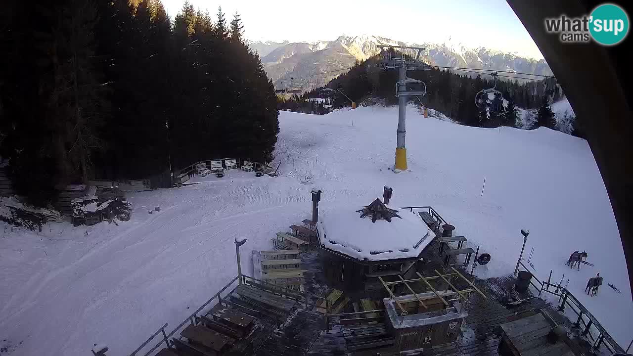 Station ski Zoncolan – Goles