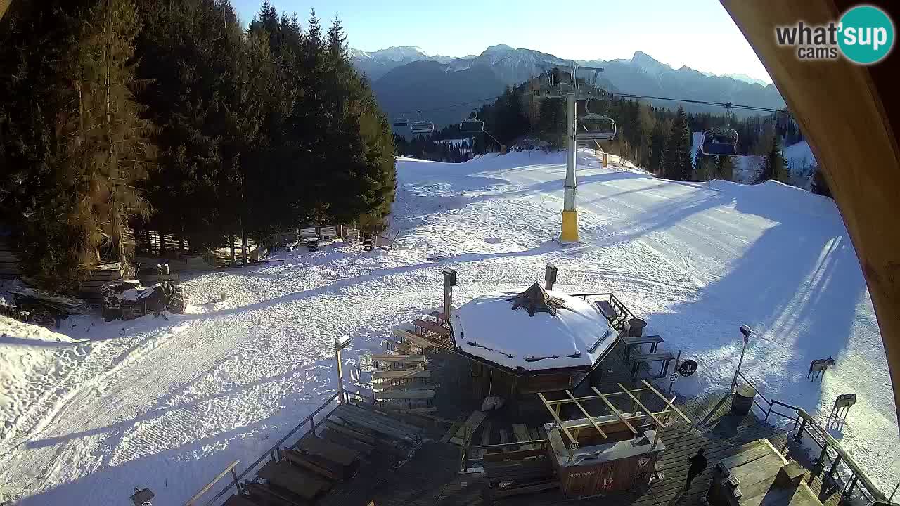 Ski resort Zoncolan mountain – Goles