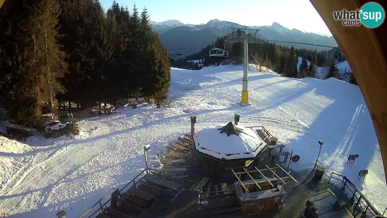 Ski resort Zoncolan mountain – Goles