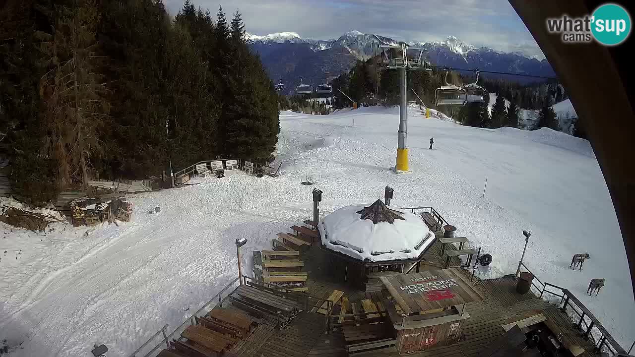 Ski resort Zoncolan mountain – Goles