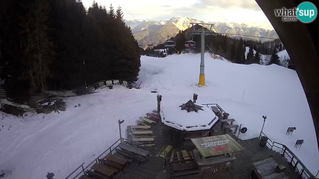 Ski resort Zoncolan mountain – Goles