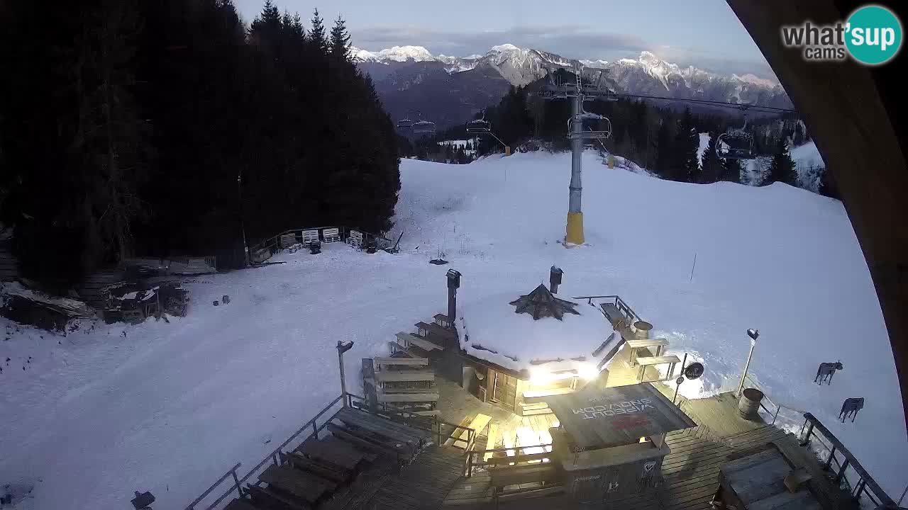 Station ski Zoncolan – Goles