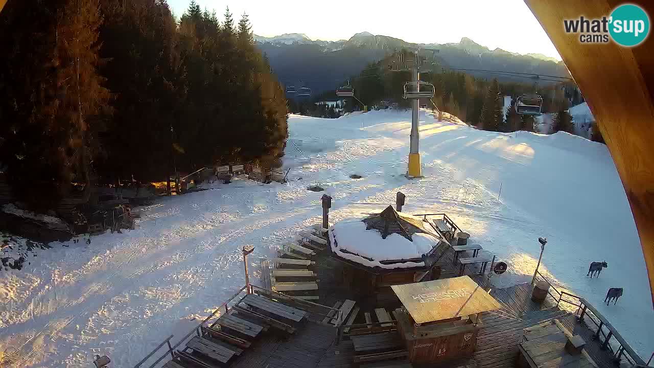 Stazione sciistica Zoncolan – Rifugio Goles