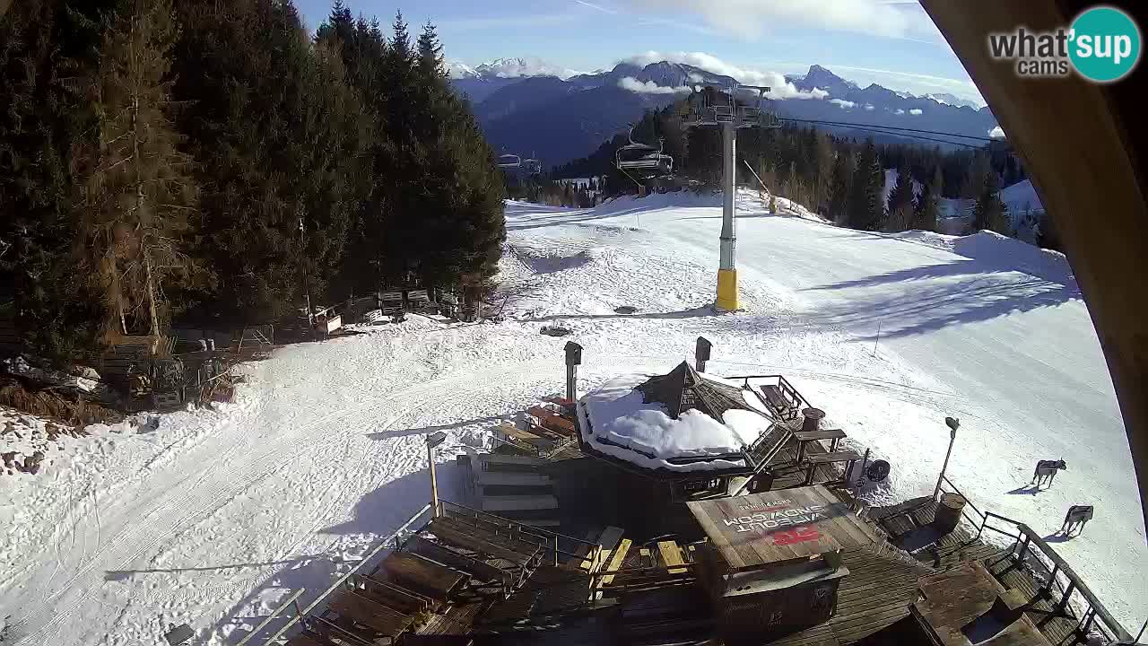 Skigebiet Zoncolan – Goles