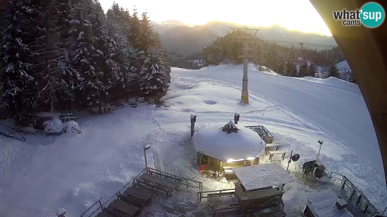 Ski resort Zoncolan mountain – Goles