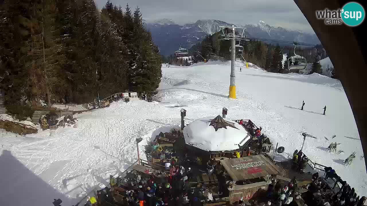 Ski resort Zoncolan mountain – Goles