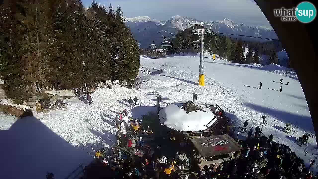 Ski resort Zoncolan mountain – Goles