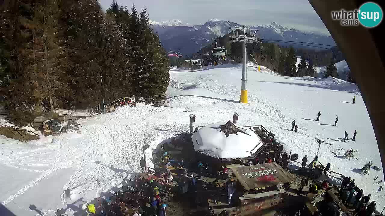 Ski resort Zoncolan mountain – Goles