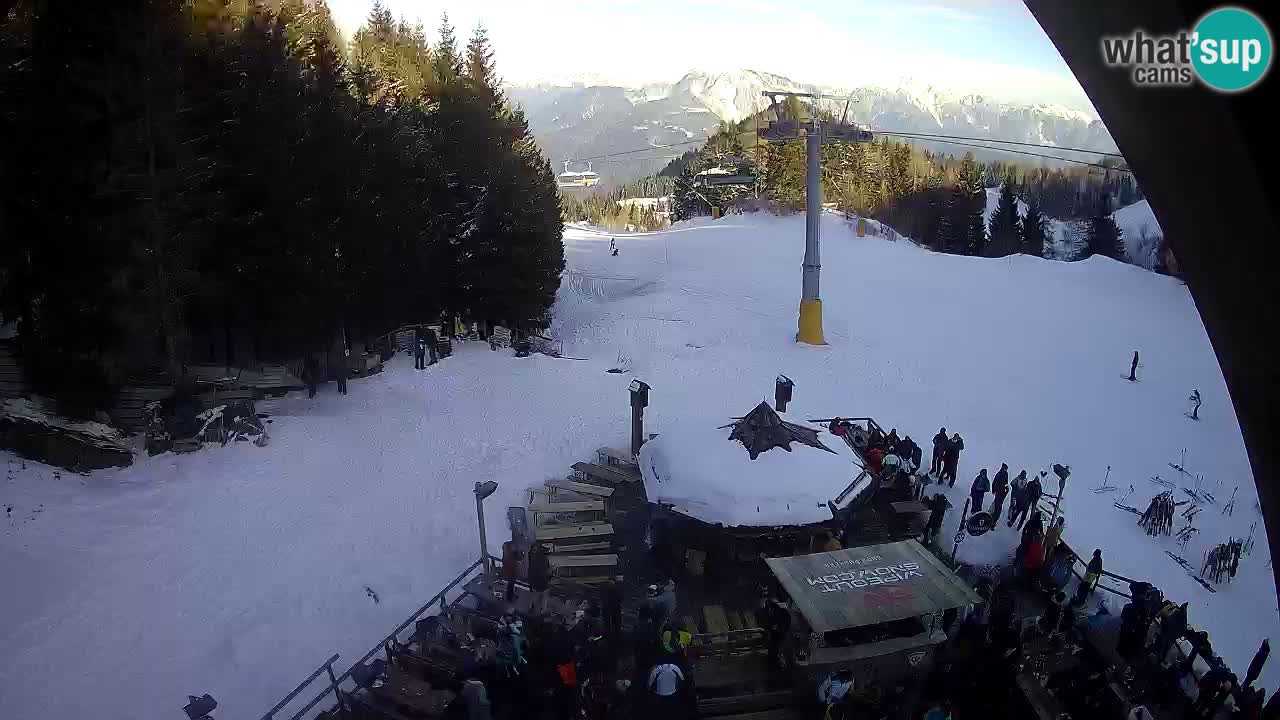 Ski resort Zoncolan mountain – Goles