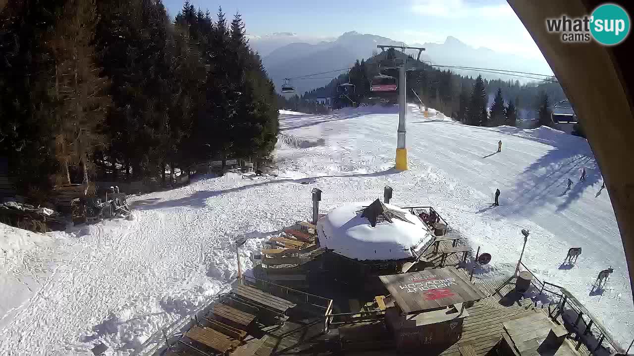 Station ski Zoncolan – Goles