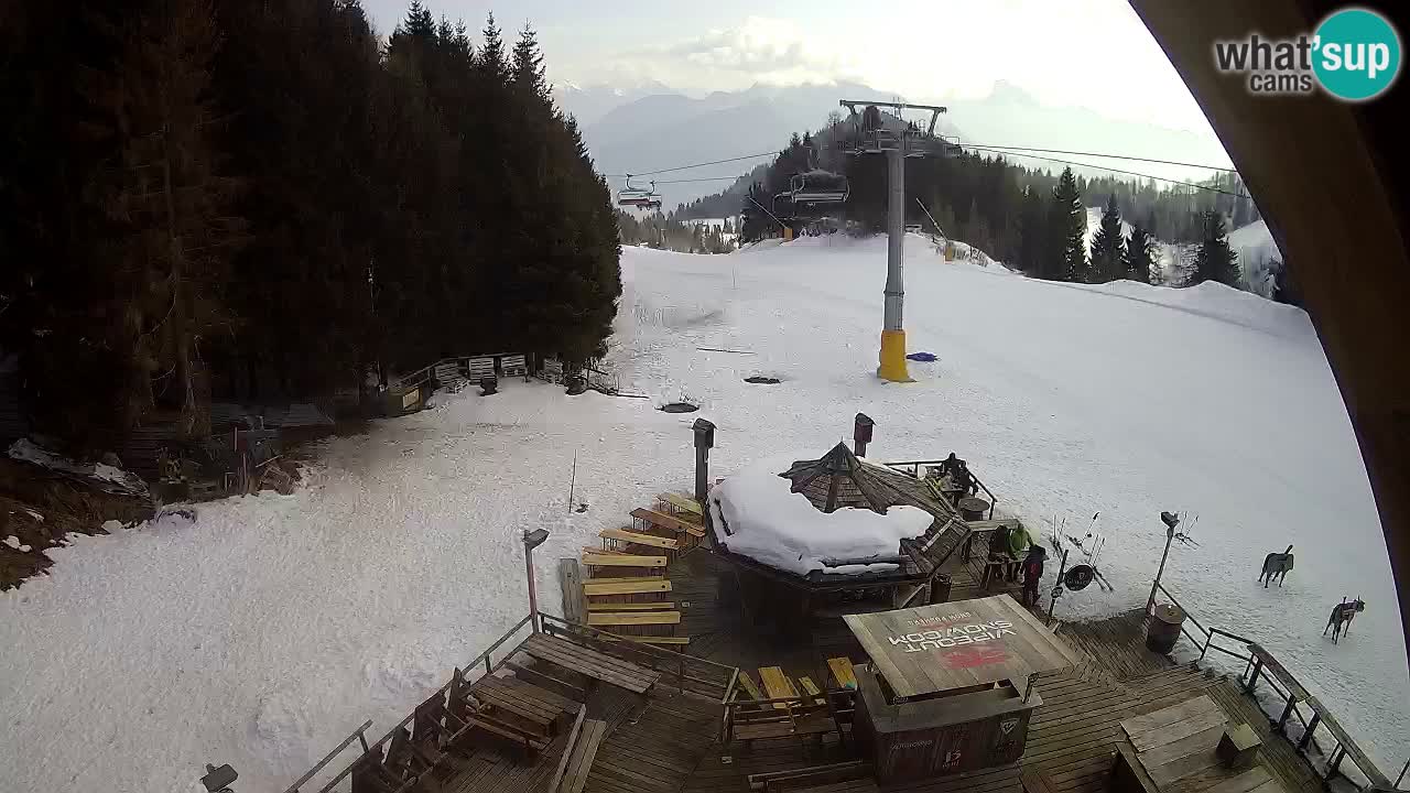 Ski resort Zoncolan mountain – Goles