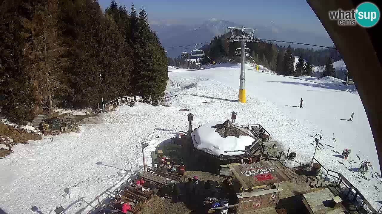 Ski resort Zoncolan mountain – Goles