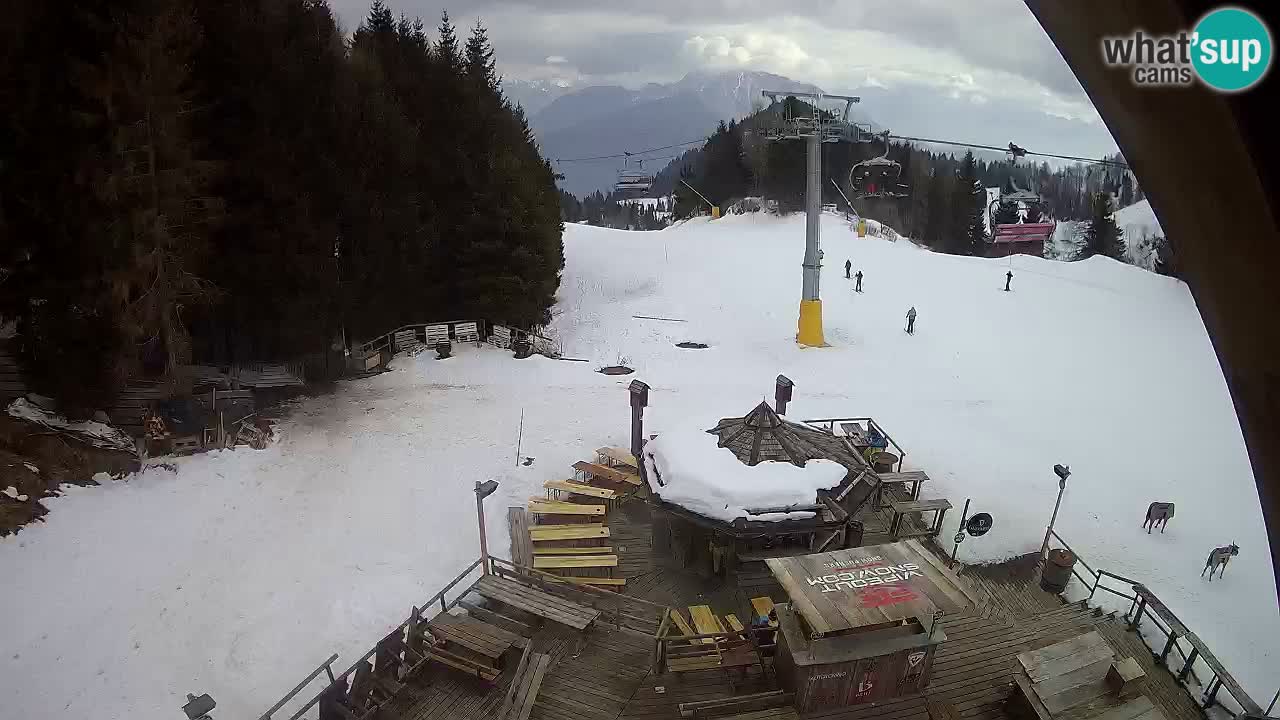 Ski resort Zoncolan mountain – Goles