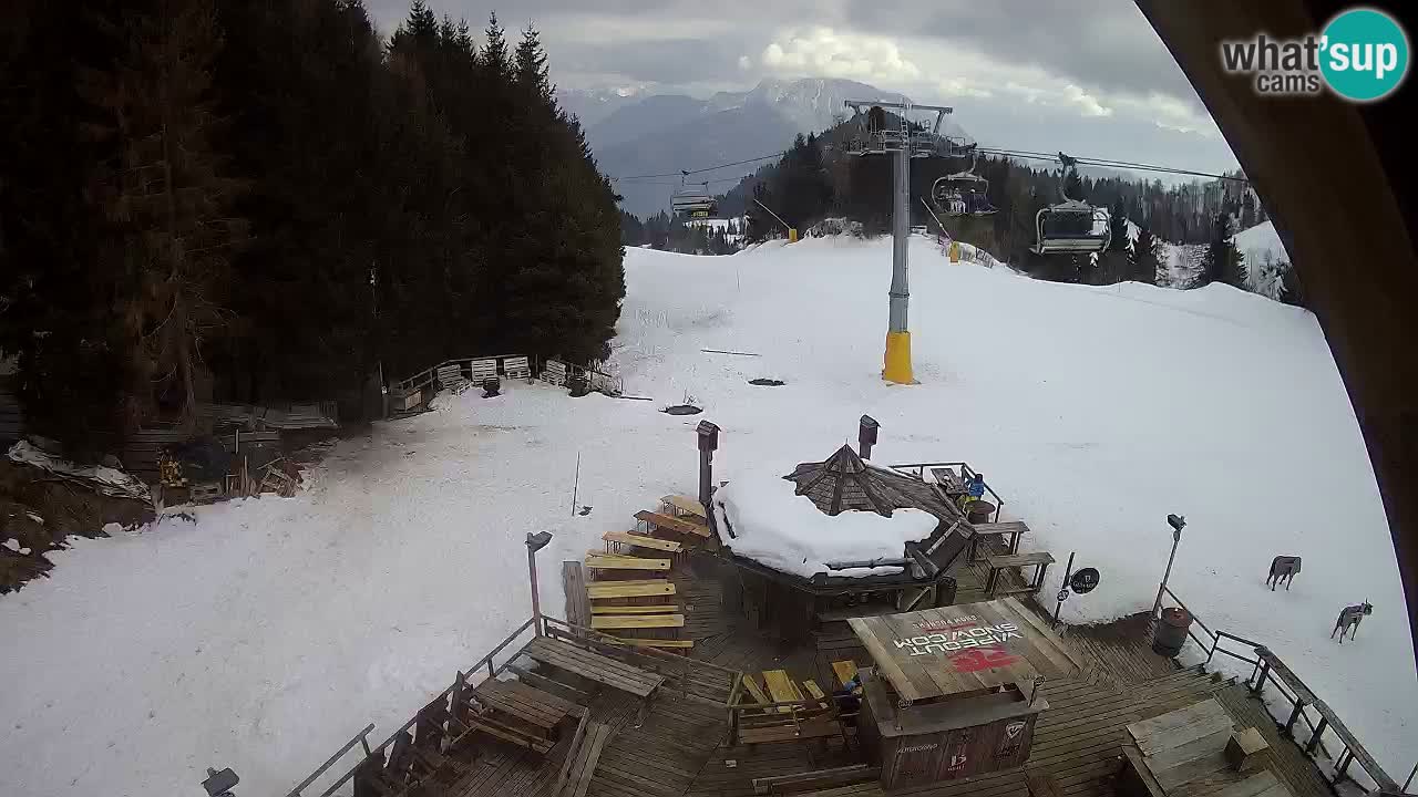 Station ski Zoncolan – Goles