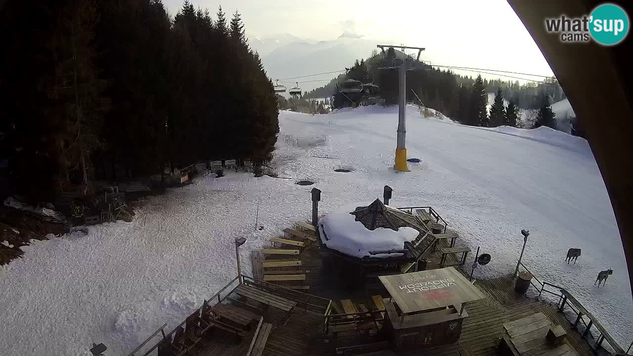 Ski resort Zoncolan mountain – Goles