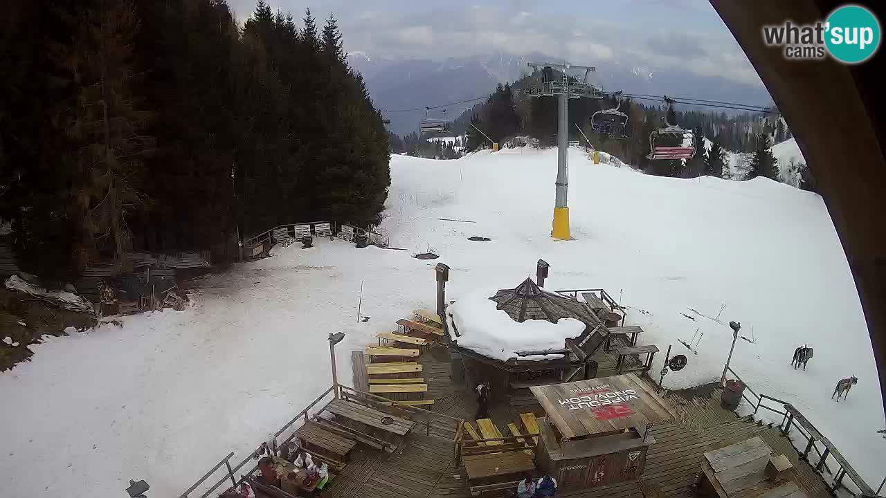 Station ski Zoncolan – Goles