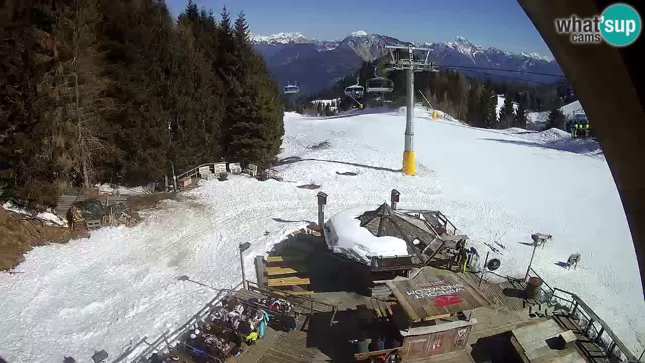 Ski resort Zoncolan mountain – Goles