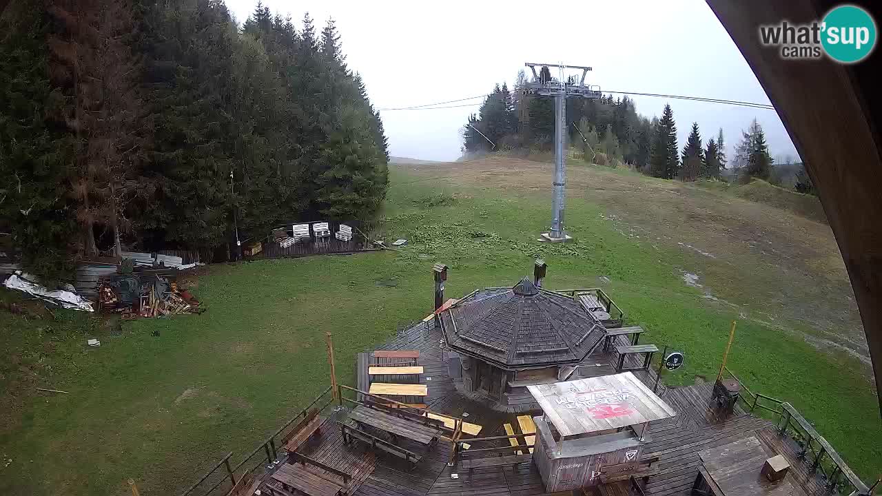 Ski resort Zoncolan mountain – Goles