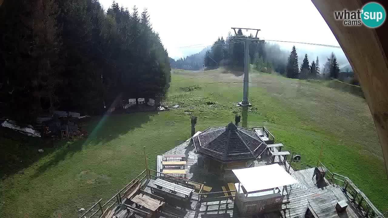 Ski resort Zoncolan mountain – Goles