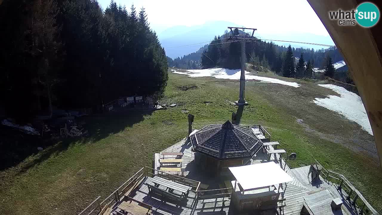 Smučišče Zoncolan – Goles
