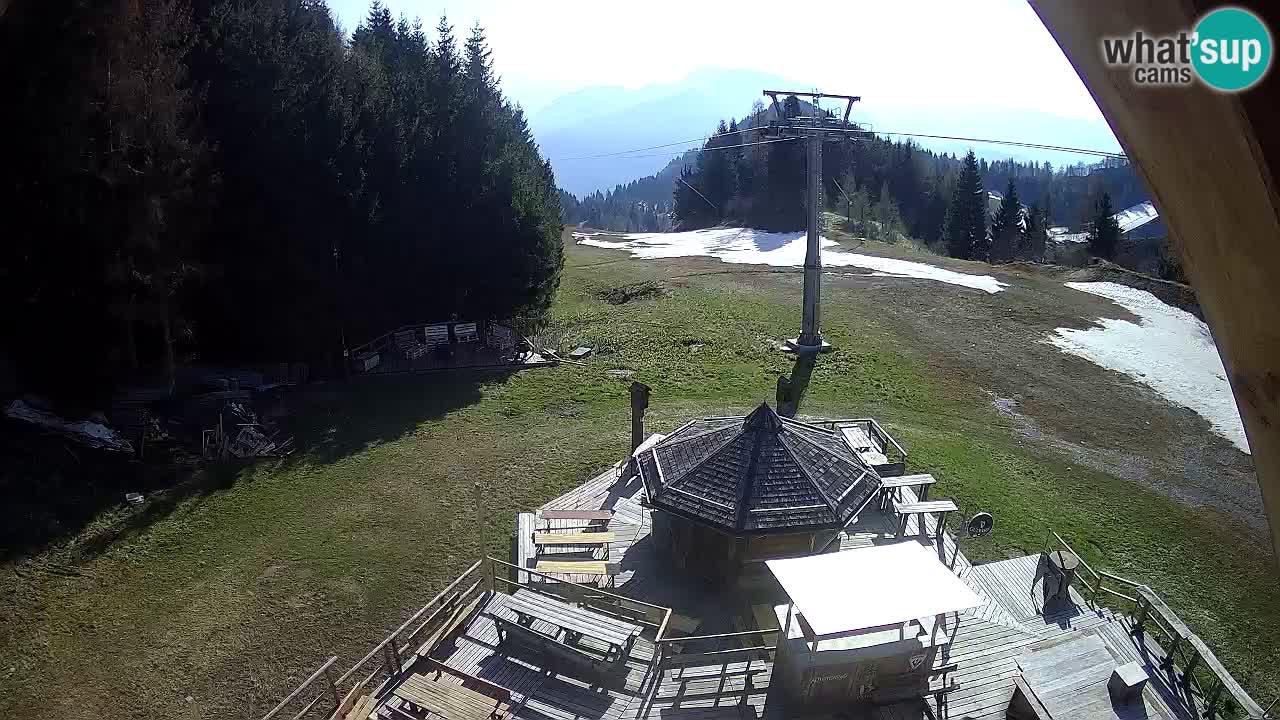 Smučišče Zoncolan – Goles