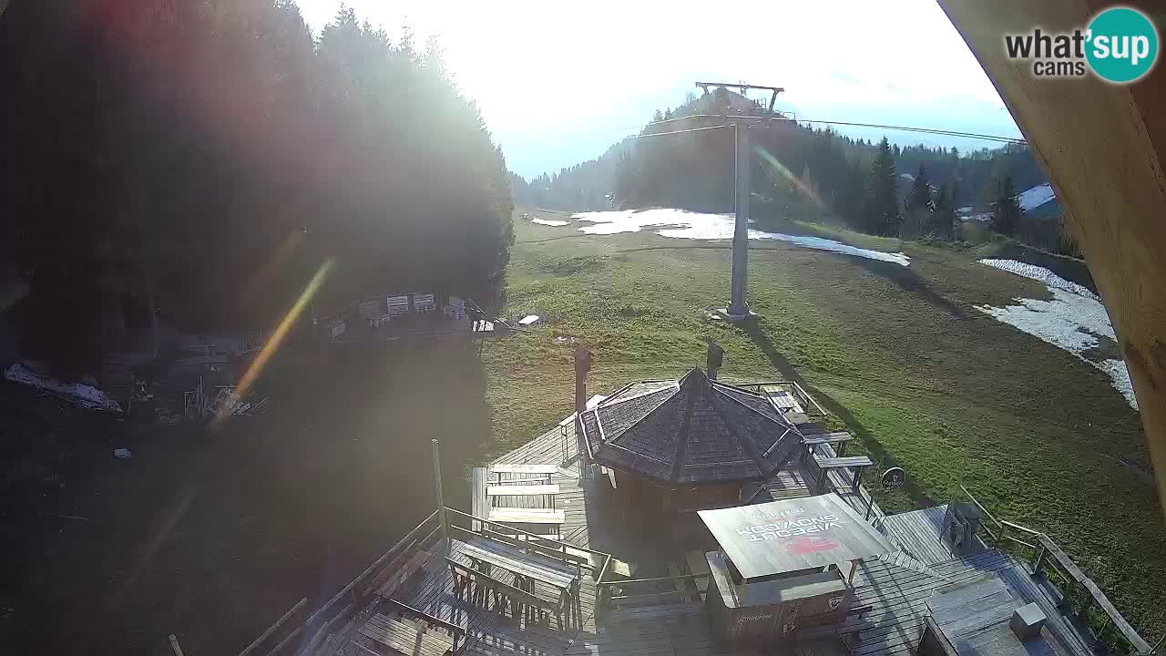 Stazione sciistica Zoncolan – Rifugio Goles