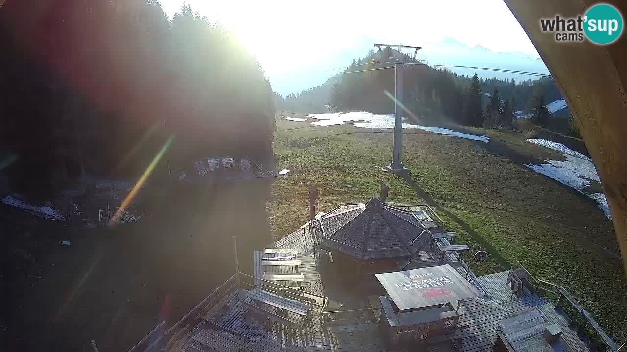 Stazione sciistica Zoncolan – Rifugio Goles