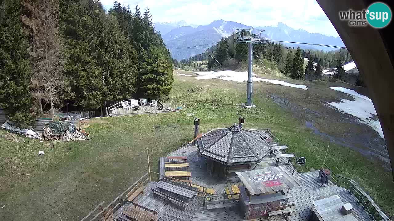 Smučišče Zoncolan – Goles