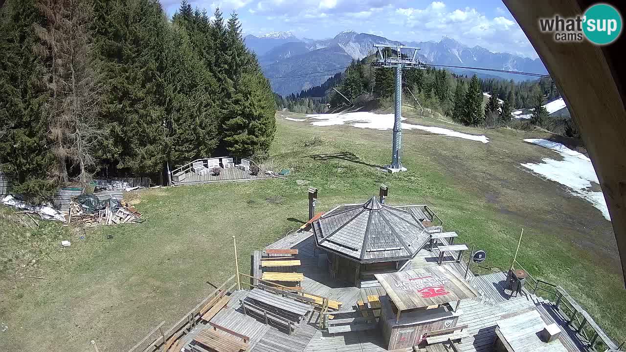 Ski resort Zoncolan mountain – Goles