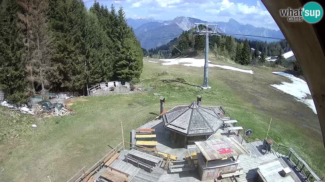 Smučišče Zoncolan – Goles