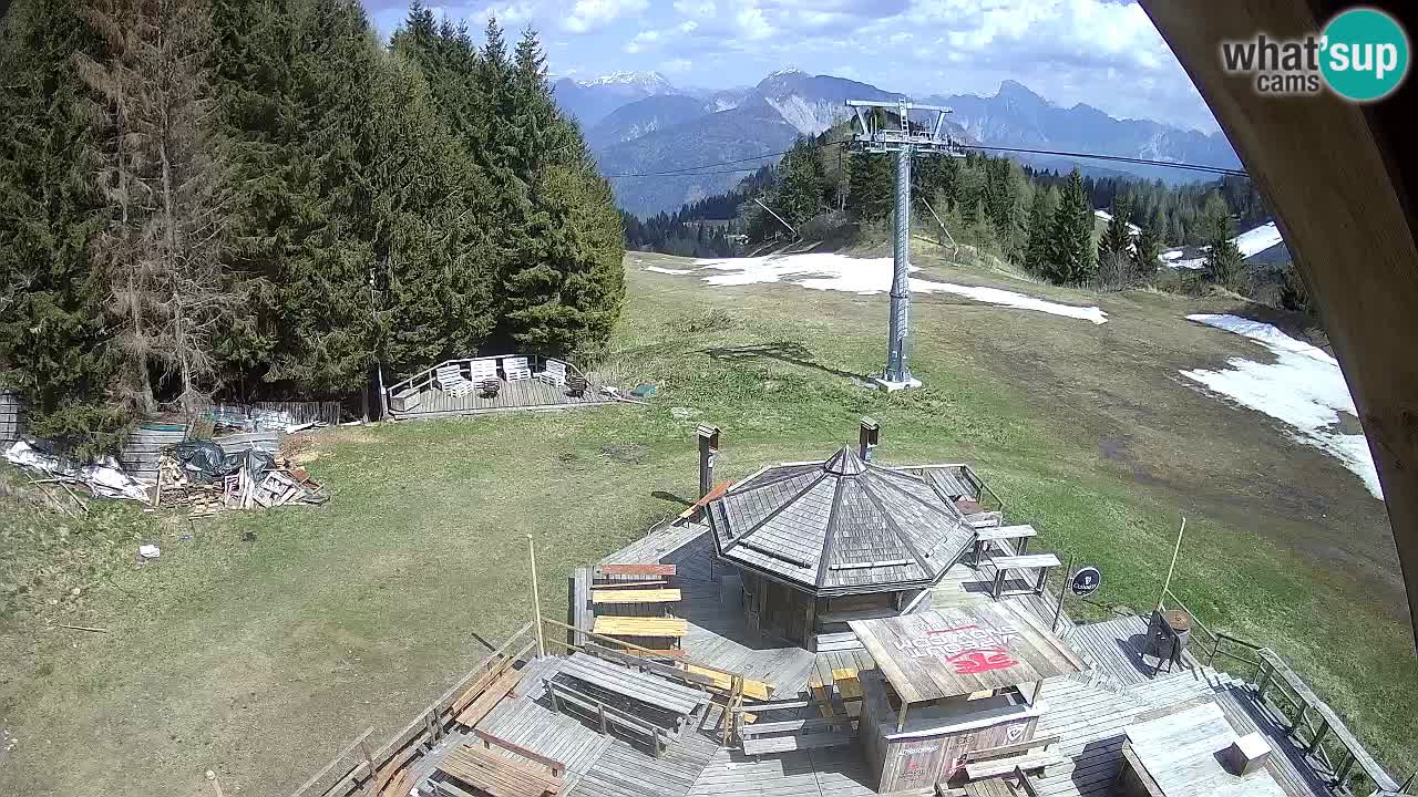 Smučišče Zoncolan – Goles