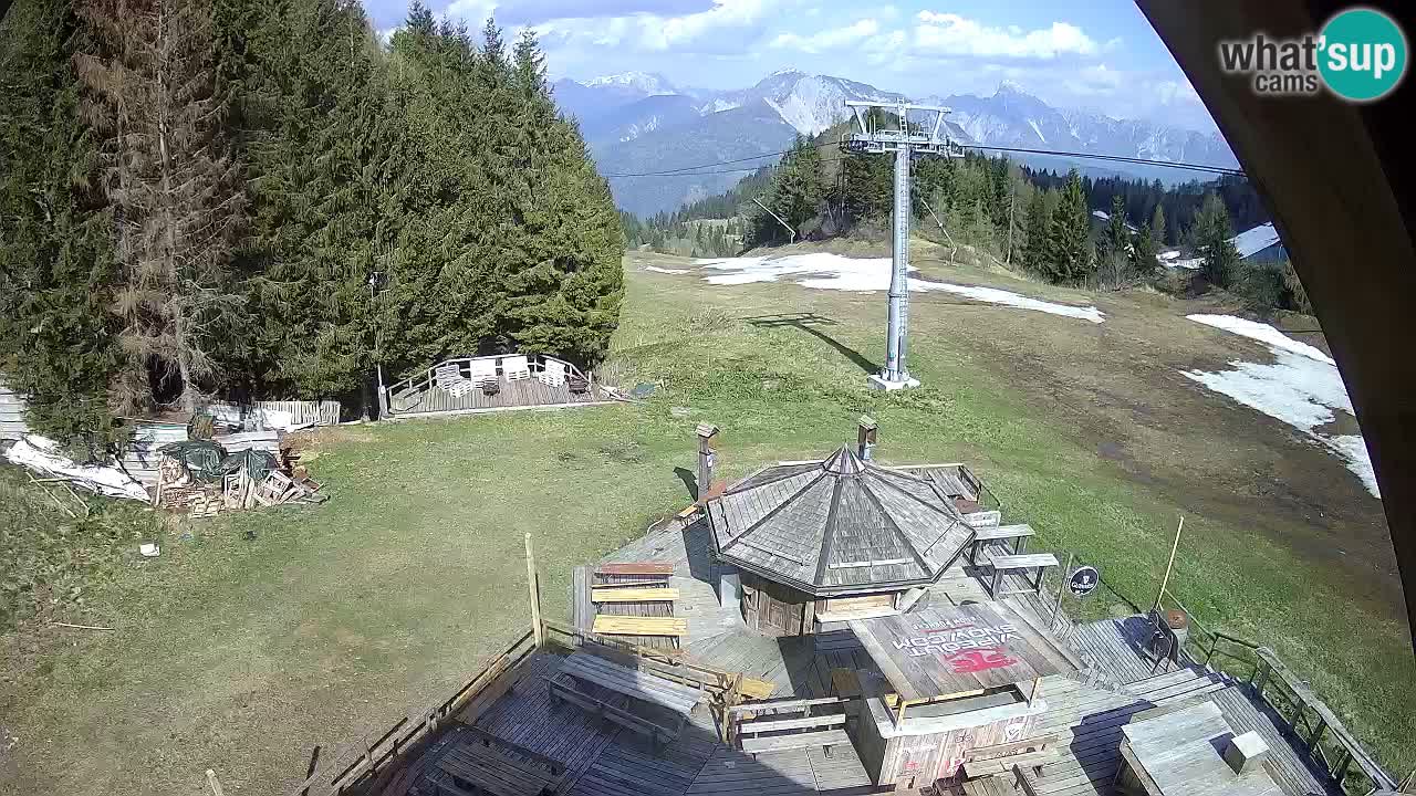 Smučišče Zoncolan – Goles