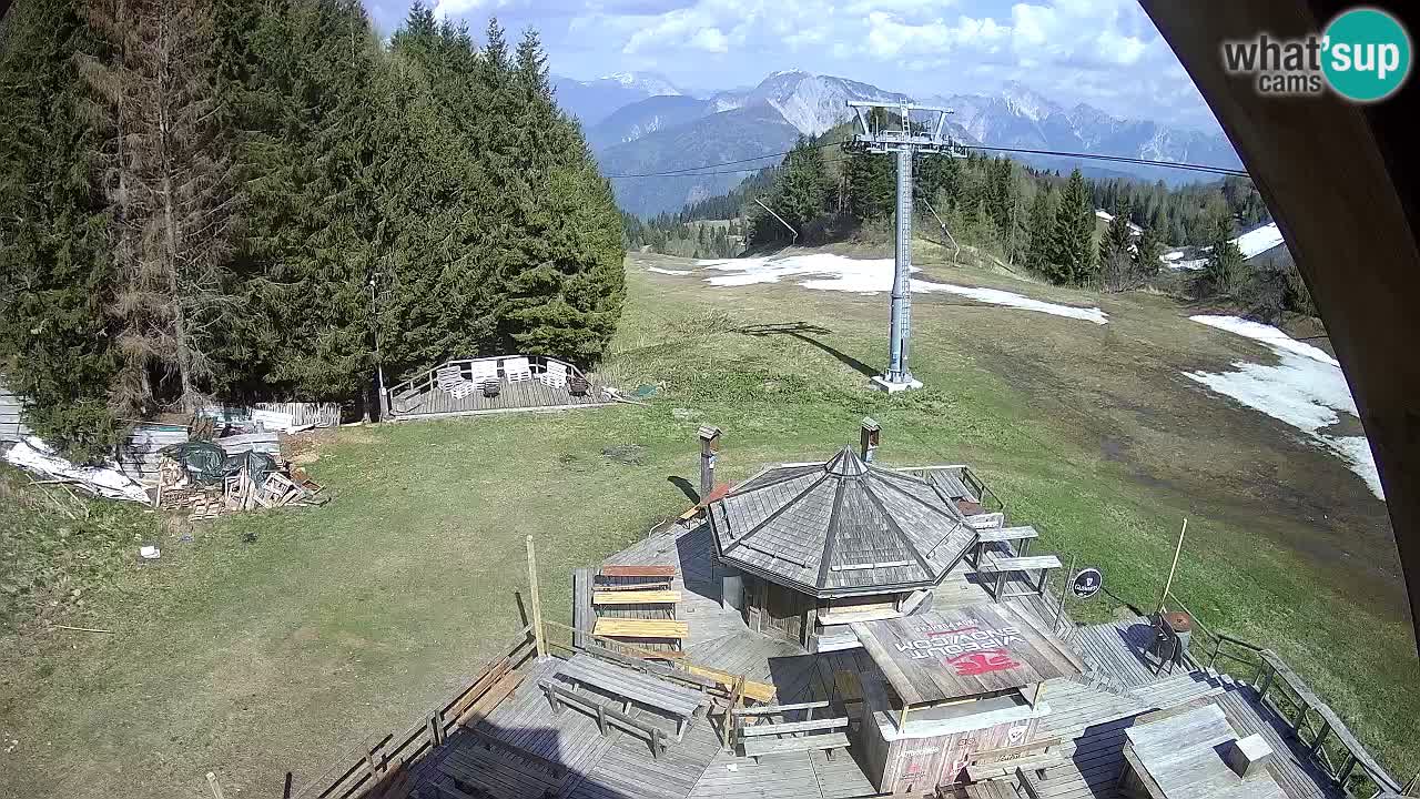 Estacion esqui Zoncolan – Goles