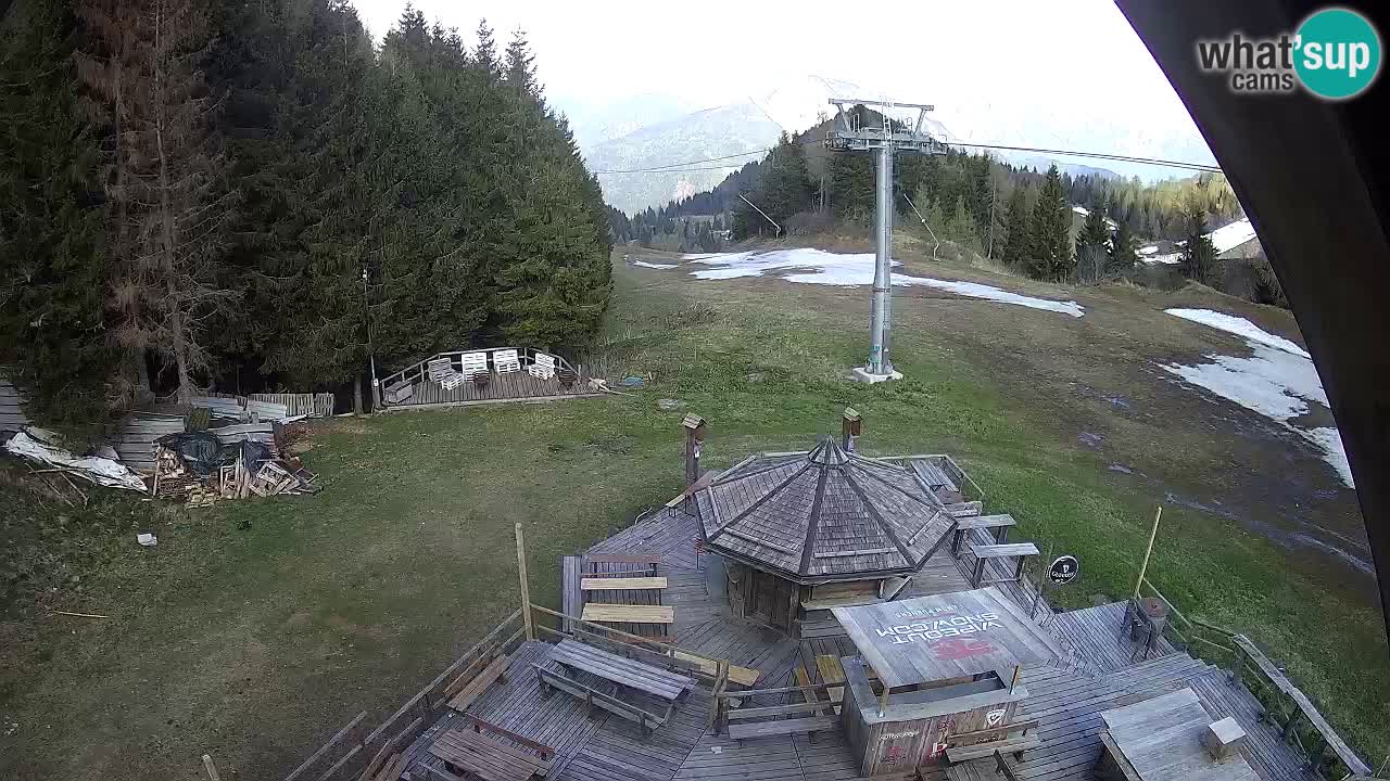 Stazione sciistica Zoncolan – Rifugio Goles