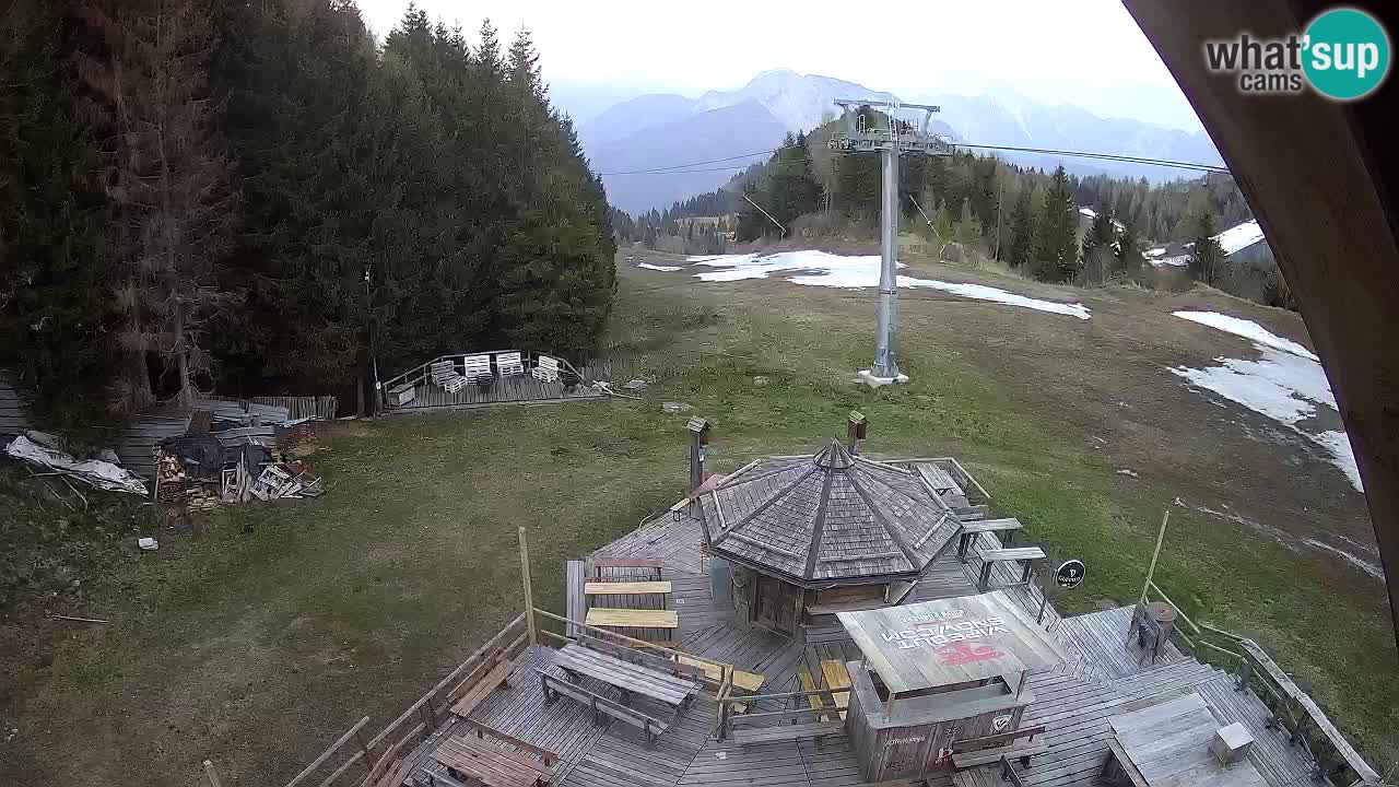 Stazione sciistica Zoncolan – Rifugio Goles
