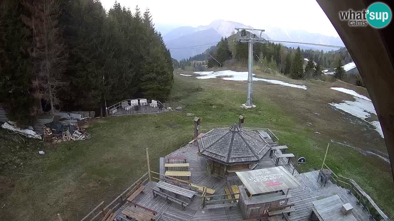 Smučišče Zoncolan – Goles