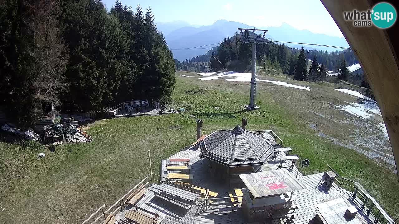 Ski resort Zoncolan mountain – Goles