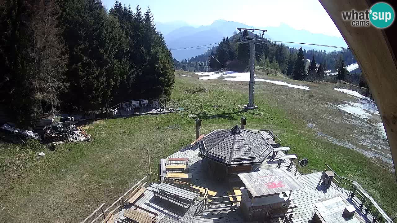 Ski resort Zoncolan mountain – Goles