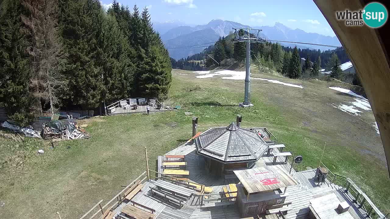 Ski resort Zoncolan mountain – Goles