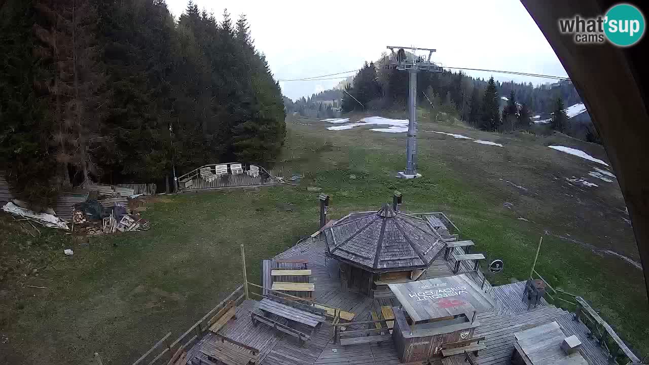 Ski resort Zoncolan mountain – Goles