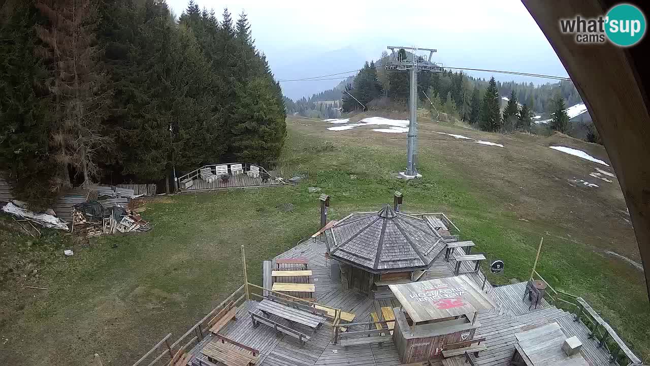 Skigebiet Zoncolan – Goles