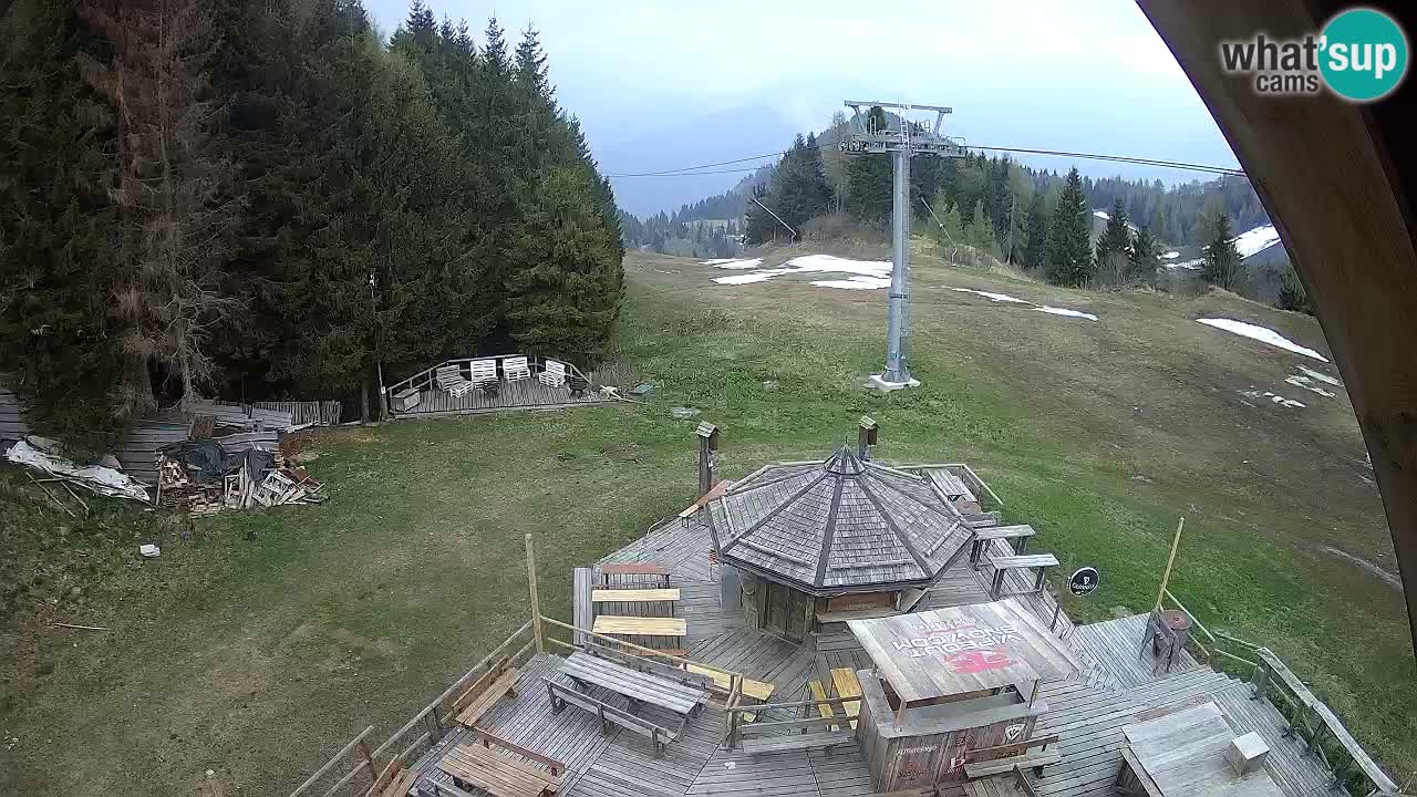 Ski resort Zoncolan mountain – Goles