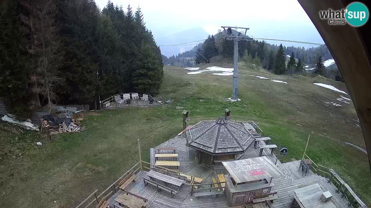 Ski resort Zoncolan mountain – Goles