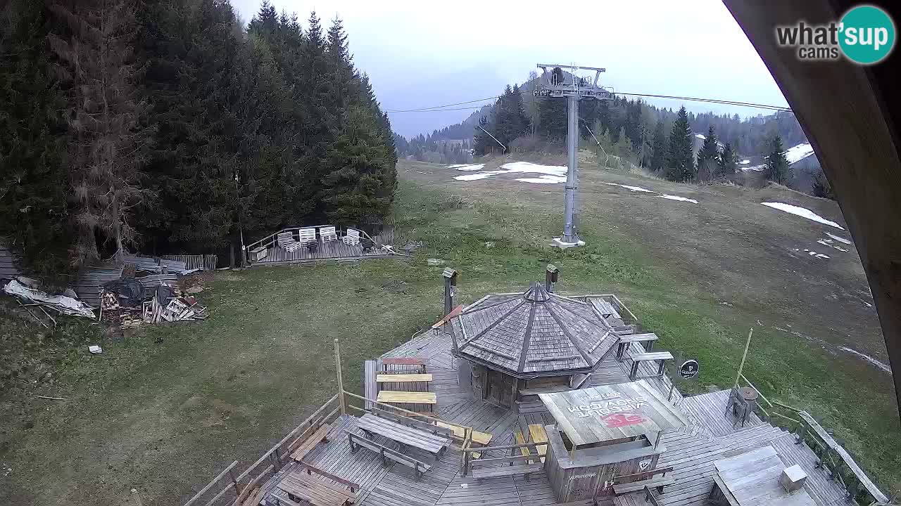 Station ski Zoncolan – Goles