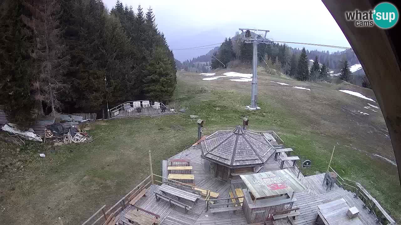 Station ski Zoncolan – Goles