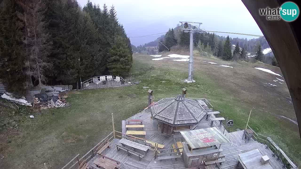 Station ski Zoncolan – Goles