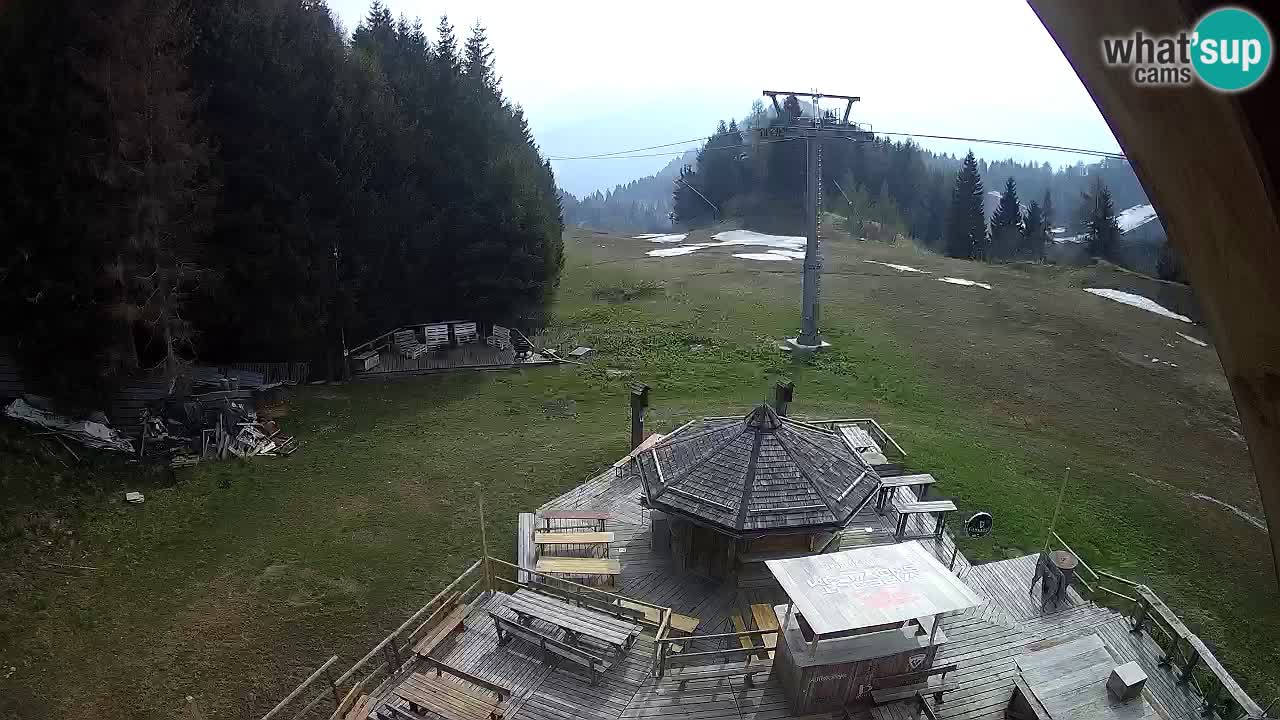 Ski resort Zoncolan mountain – Goles