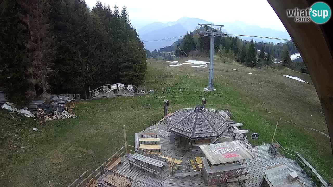Station ski Zoncolan – Goles