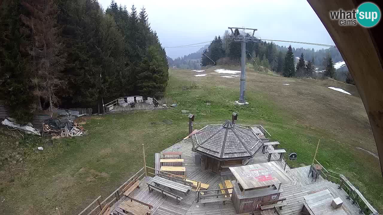 Smučišče Zoncolan – Goles