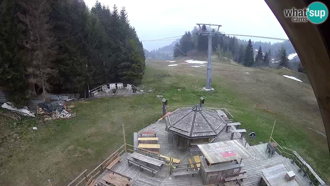 Ski resort Zoncolan mountain – Goles